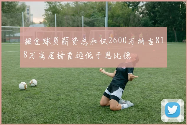 掘金球员薪资总和仅2600万纳吉818万高居榜首远低于恩比德